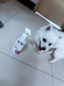 嬉皮狗（hipidog）博美專用沐浴露白毛狗狗洗澡美毛抑菌除臭白色幼犬香波浴液用品 【博美專用】臻萃悅活沐浴露 無規(guī)格 曬單實(shí)拍圖