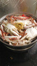 【活動(dòng)價(jià)】新鮮大梭子蟹大海蟹螃蟹鮮活冷凍海鮮水產(chǎn) 1斤【試吃不劃算】【每只4-6兩】 曬單實(shí)拍圖