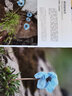 世界之巔 西藏珠穆朗瑪峰生物多樣性觀測手冊 羅浩 主編 著 北京出版社 書籍 圖書 曬單實拍圖