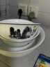 古鎮陶瓷景德鎮高白瓷餐具套裝陶瓷碗碟瓷器套裝大師作品瓷碗墨上花開(kāi)  墨上花開(kāi) 年年有余 4.5寸飯碗 1頭 曬單實(shí)拍圖