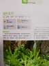 家庭種花養(yǎng)花鑒賞圖鑒認(rèn)識常見花草植物花卉書籍一花一世界一草一天堂身邊花草樹木速查圖鑒 多肉植物完全圖鑒 定價49.8 曬單實(shí)拍圖