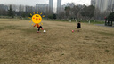 KELME卡爾美外套圓領(lǐng)衛衣足球針織套頭足球服秋冬訓練運動(dòng)服3891370 曬單實(shí)拍圖