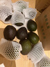 GREENHOW秘魯牛油果新鮮水果巨無(wú)霸鱷梨大果 180g單果180-220g 12個(gè) 曬單實(shí)拍圖