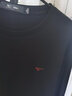 七匹狼長(cháng)袖T恤男25秋季5A抗菌面料莫代爾圓領(lǐng)長(cháng)T男士寬松顯瘦打底衫男裝 001(黑色)-天絲抗菌 M 165/84A 曬單實(shí)拍圖