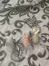 咪貝萌貓玩具小老鼠貓咪自嗨解悶用品仿真假老鼠木天蓼貓薄荷逗貓神器 三色各一 均碼 曬單實拍圖