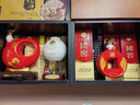 國窖1573【送禮宴請】官方 封藏大典紀(jì)念酒 濃香型 白酒 春釀 55度 1L 1壇 金狗佑財(cái)B款 曬單實(shí)拍圖