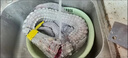 鹿凌青干貨 鱷魚干 煲湯廣東食材傳統(tǒng)生曬煲湯料鱷魚干 現(xiàn)殺鱷魚 【100克】鱷魚肉干 曬單實拍圖