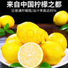 uncle lemon四川特產(chǎn)安岳黃檸檬新鮮水果多汁奶茶店榨汁切片產(chǎn)地直供 2個 三級果面有瑕疵，單果重100-200g 曬單實拍圖