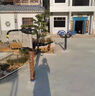 愛(ài)仕威新國標戶(hù)外健身器材廣場(chǎng)公園小區新農村健身路徑室外體育設施器材 坐立腰背按摩器 曬單實(shí)拍圖