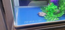 美之海魚(yú)缸客廳家用小型長(zhǎng)方形桌面魚(yú)缸水族箱懶人免換水生態(tài)上過(guò)濾魚(yú)缸 83*34*65cm 下單默認(rèn)發(fā)白色 曬單實(shí)拍圖