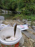 臻佑（Grsaed）三支裝NC01納米魚(yú)漂高靈敏醒目輕口野釣鯽魚(yú)湖庫混養浮漂套裝 曬單實(shí)拍圖