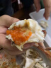 鮮活冷凍梭子蟹萊州特大海蟹新鮮紅膏母蟹 海鮮螃蟹禮盒蟹類(lèi)生鮮 6只 每只3-4兩 紅膏母蟹 曬單實(shí)拍圖