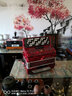鸚鵡（YINGWU）YW-663手風(fēng)琴69鍵96BS成人考級專(zhuān)業(yè)演奏樂(lè )器巴揚琴初學(xué)者廠(chǎng)家直發(fā) 96貝司紅色B系統 曬單實(shí)拍圖