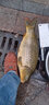 迎科 雙槽新關(guān)東無倒刺釣魚鉤釣鉤漁鉤散裝競技鯽魚鉤鯉魚鉤 黑 雙槽新關(guān)東   5#30枚裝 曬單實拍圖