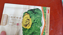 IDEAL理想農業(yè) 雜交黃心烏塌菜種子耐寒烏塌菜籽雪里金花青菜蔬菜種子 曬單實(shí)拍圖