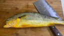 海鮮頌黃花魚 活凍大黃魚深海捕撈 魚類速凍黃瓜魚 海鮮水產(chǎn)年貨 海捕黃花魚500g/2-3條 曬單實拍圖