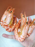 蝶島海歌輕食大九節蝦干黑虎蝦干開(kāi)袋孕婦即食海鮮零食干貨斑節蝦干3644型 原味中大蝦(250g)到手18-22只 深海捕撈活蝦烤制 曬單實(shí)拍圖