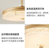 雷士（NVC） 風(fēng)扇燈餐廳風(fēng)扇水晶輕奢隱形吊扇燈led臥室風(fēng)扇燈具 Ra95高顯指丨36瓦分段調(diào)光 | 42寸 曬單實(shí)拍圖
