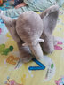 泓御智捷大象安撫抱枕頭毛絨玩具公仔嬰兒玩偶寶寶睡覺(jué)陪睡布娃娃生日禮物 大象40厘米迷你版 如圖表示 曬單實(shí)拍圖