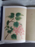 【包郵】 詩經(jīng)名物圖解 [日]細井徇著定價46 曬單實拍圖