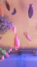瀚幻三湖慈鯛中大型活體熱帶觀賞魚馬鯛伊巴卡藍(lán)六間非洲王子藍(lán)面財(cái)神 火焰紅8-10cm 1條 曬單實(shí)拍圖