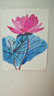經(jīng)典全集《水彩花卉》入門教程書籍臨摹畫冊零基礎(chǔ)教材到精通自必學(xué)課水彩的訣竅一本就夠古風(fēng)手繪初學(xué)者成人 曬單實拍圖