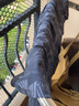 迪卡儂泳褲男游泳裝備速干游泳褲沙灘褲假兩件防尷尬深灰5103610 曬單實拍圖