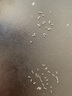 尚智戴代用卡地亞手表后蓋螺絲 藍(lán)氣球底蓋表螺絲釘精鋼一字小螺絲 銀色螺絲8顆+螺絲刀 1mm 曬單實拍圖
