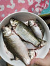 杰米仕 魚線主線子線套裝二合一子母線組合釣魚線斑點(diǎn)隱形尼龍 隱形子母線【100米主線+100米子線】 主線8.0+子線6.0【型號可選】 曬單實(shí)拍圖