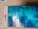 帆睿適用于蘋果iphone6尾插6s送話器7plus11x充電口xsmax6sp排線xr總成8p接口 7尾插 拆機工具 白色 曬單實拍圖