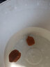 老農(nóng)哥【現(xiàn)貨】賭青皮文玩核桃麻核桃獅子頭原果大官帽虎頭青果現(xiàn)摘 雞心59-60mm一對 曬單實拍圖