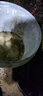 朝宇竿止硅膠夜光魚(yú)竿竿止環(huán)通用高檔大物桿止防滑環(huán)大號(hào)漁具垂釣 夜光中號(hào)【內(nèi)徑14MM】 曬單實(shí)拍圖