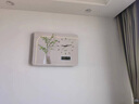 墨派奶油風綠植電表箱裝飾畫帶時鐘萬年歷遮擋配電箱總閘網絡線盒子 幸福之數(shù) 液壓65*55cm(遮擋52*42) 曬單實拍圖