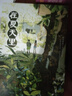 在夏天里（印繪簽，獻(xiàn)給在夏天里朝我走來(lái)的炙熱耀眼的你！首刷限定透光藏字卡1張，另贈(zèng)賀卡1張、“夏日”明信片3張、“樹(shù)葉”書(shū)簽1張）? 曬單實(shí)拍圖