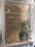 寵以沫（CHONG YIMO）烏龜專(zhuān)用細沙龜沙產(chǎn)卵冬眠孵化下蛋爬寵魚(yú)缸底砂造景水草裝飾沙子 烏龜沙3斤 曬單實(shí)拍圖