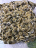 新鮮特大花蛤肉干冷凍無(wú)沙蛤蜊肉鮮活即食花甲肉蜆子肉無(wú)冰衣商用 特級大個(gè)（無(wú)冰無(wú)沙）250g*4包 曬單實(shí)拍圖