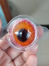 泉旺萬圣節(jié)禮物糖果散裝3d眼珠軟糖網(wǎng)紅眼球糖橡皮糖抖音網(wǎng)紅零食年貨 3D恐怖眼珠子軟糖獨(dú)立包裝(15顆袋裝) 曬單實(shí)拍圖