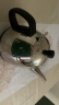 金灶（KAMJOVE）电热水壶煮水壶304不锈钢煮水壶茶艺炉配件【非整套产品】 T-300A煮水壶1L 实拍图