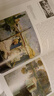 預(yù)售 Monet 進口藝術(shù) 莫奈畫冊畫集新版 塔森大開本精裝印象派油畫美術(shù)收藏作品集 Taschen 曬單實拍圖