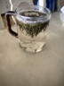 泥也茶杯玻璃杯水杯子馬克杯泡綠茶杯個(gè)人專用無鉛玻璃杯帶把手水杯男 曬單實(shí)拍圖