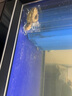 創(chuàng)寧魚馬桶魚缸糞便分離器魚糞收集器自動吸便上濾底濾魚缸過濾器 第三代特大號（適合魚缸水深：70-90cm） 曬單實拍圖