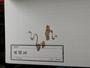 線裝典藏：戰(zhàn)國策（套裝1-4冊） 曬單實拍圖
