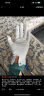 蕉下（beneunder）防晒手套女手部防晒防紫外线【升级凉感】板岩灰AL36024 实拍图