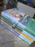 世界經(jīng)典名著(zhù)全套4冊 魯濱孫漂流記 湯姆索亞歷險記 八十天環(huán)游地球 地心游記 譯林出版社完整無(wú)刪減版原著(zhù)正版11-14歲兒童文學(xué)讀物 中小學(xué)生四五六年級課外閱讀書(shū)籍 曬單實(shí)拍圖