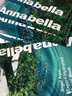 Annabella泰國海藻面膜深層補水安娜綠海藻面膜女嫩膚控油富含深海礦物精華 （4盒）綠藻深層補水面膜 曬單實拍圖