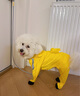嬉皮狗（hipidog）狗狗雨衣衣服寵物夏季小狗泰迪比熊小型犬立體背包可牽引連腳雨衣 洛克黃 L （建議體重8-11斤） 曬單實(shí)拍圖
