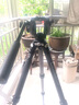 馬小路（marsace）MT24 XB-2R專(zhuān)業(yè)單反相機支架攝影攝像碳纖維三腳架球型全景云臺套裝 MT24三腳架 曬單實(shí)拍圖