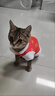 曇蓓漫貓咪衣服冬季寵物保暖加絨狗狗貓貓紅色棉襖冬天過(guò)年喜慶小貓唐裝 新年國風(fēng)旗袍款-【升級二代絨】 XL(推薦11-15斤)貓狗通用 曬單實(shí)拍圖