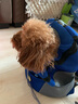 SLPC狗包外出寵物背包中小型犬狗狗雙肩包透氣胸前包便攜旅行寵物包 藍色 S（高34寬30cm建議8斤內狗狗） 曬單實(shí)拍圖