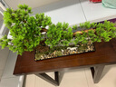 一木代傳 新中式仿真迎客松盆景擺件綠植工藝品酒店辦公室玄關(guān)軟裝飾品樣板間擺件開業(yè)喬遷禮物中秋送禮物 迎客松(松樹款) 曬單實(shí)拍圖